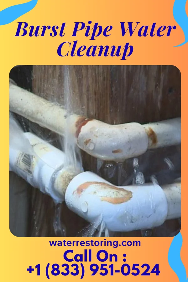 Burst Pipe Water Cleanup in Blodgett, MO
