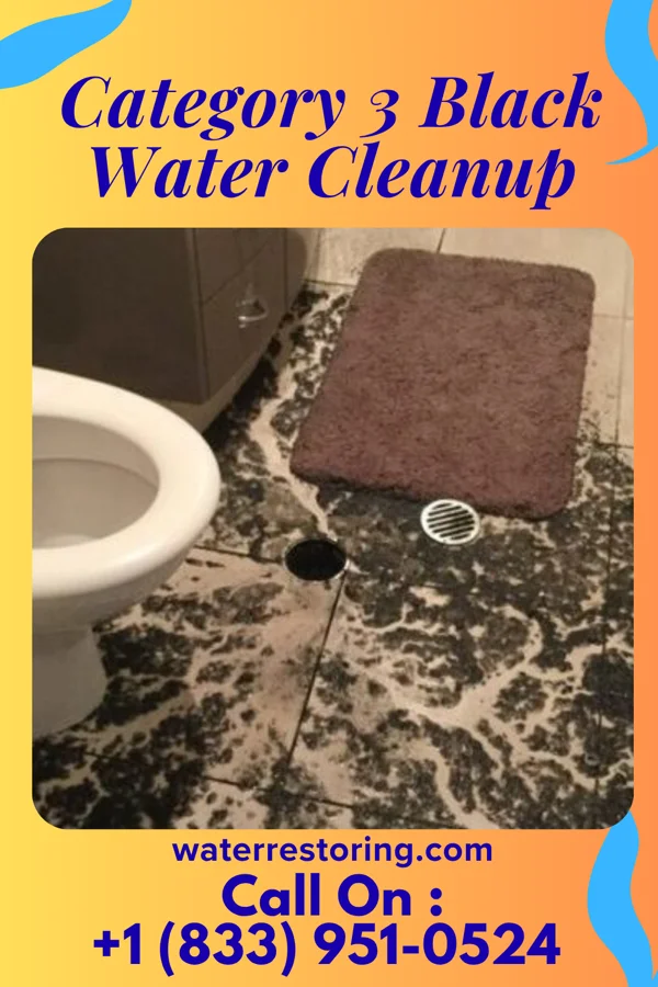 Category 3 Black Water Cleanup in Blodgett, MO