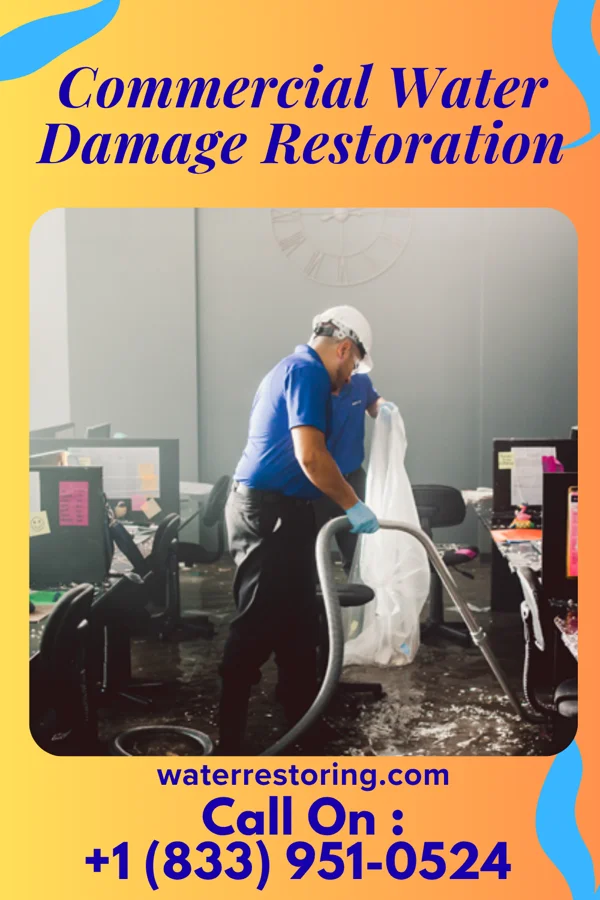 Commercial Water Damage Restoration in Blodgett, MO