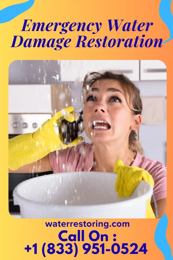 Emergency Water Damage Restoration in Blodgett, MO