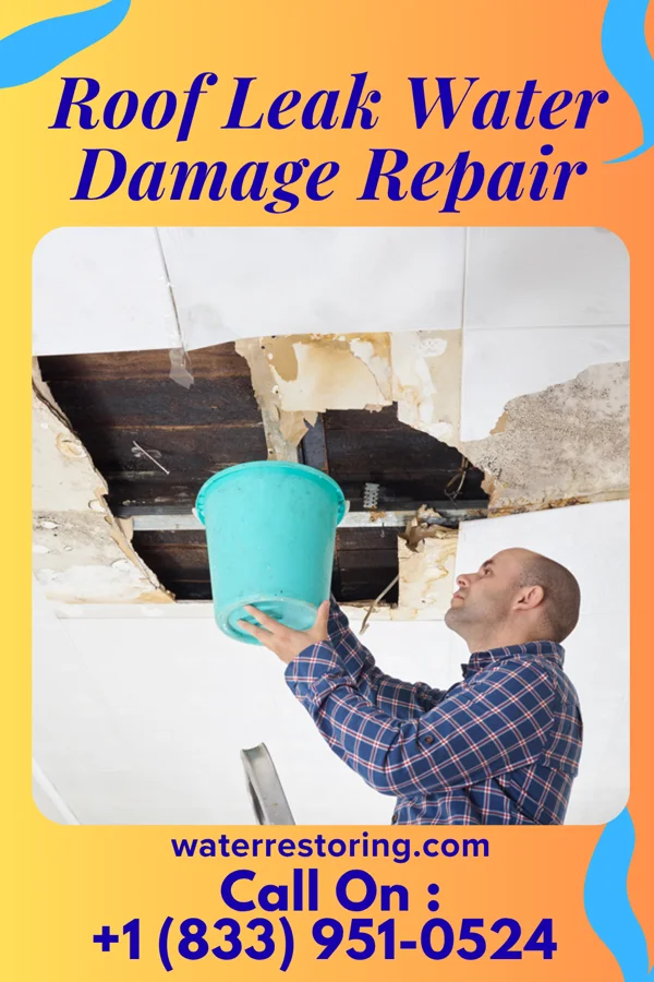 Roof Leak Water Damage Repair in Blodgett, MO