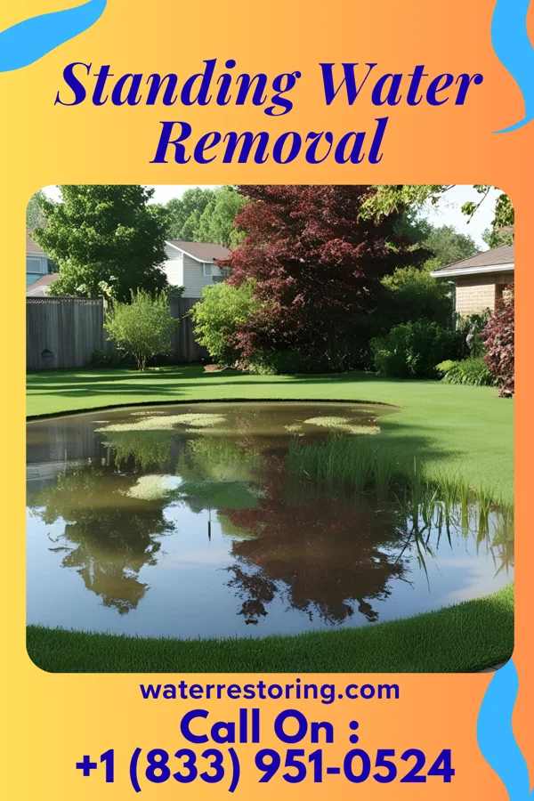 Standing Water Removal in Blodgett, MO